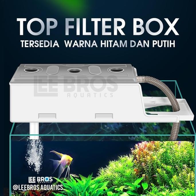 Top Filter Box Aquarium / Box Filter Aquarium / Filter Atas