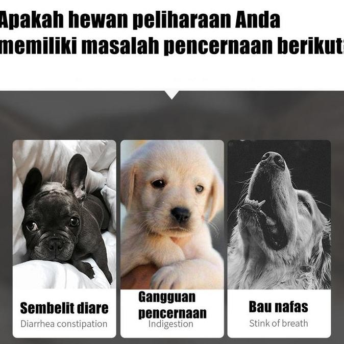 Vitamin Kucing/probiotik kucing/ Probiotic Tablet / Vitamin Kucing MASALAH PENCERNAAN untuk Diare, M