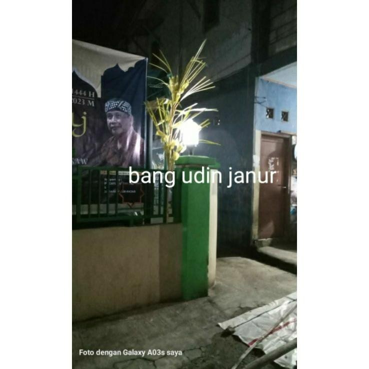 Janur Depok... Janur Kecil Janur Pintu Janur Nda
