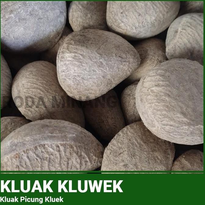 

Kluak / kluwak / Picung / Pucung kepayang bumbu rawon - 1kg LM