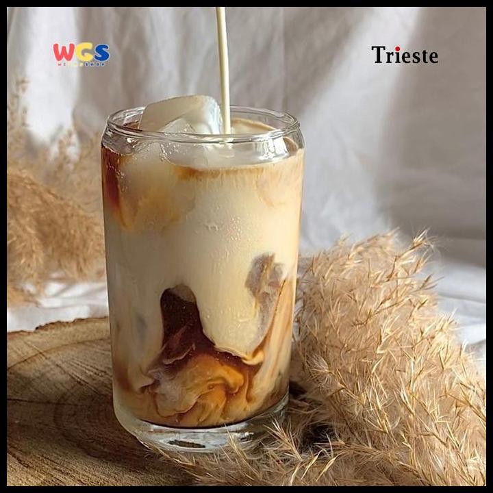 

Terlaris Trieste Salted Caramel Flavour Syrup 650Ml Premium Italian Syrup | Halal | For Coffee & Desserts Good Quality