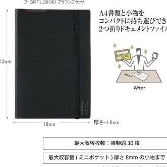

LINDU Kokuyo BIZRACK A4 Paper Folder 1 Holder & 10 Pockets P-BRFL10