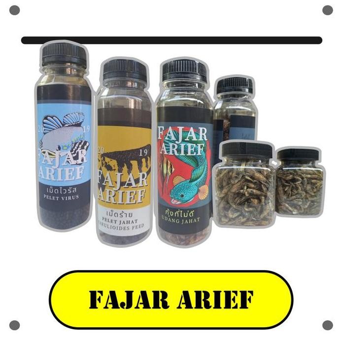 Terlaris Pelet Jahat Virus Udang Jahat Fajar Arief Progres Bunga Marking Ikan Channa