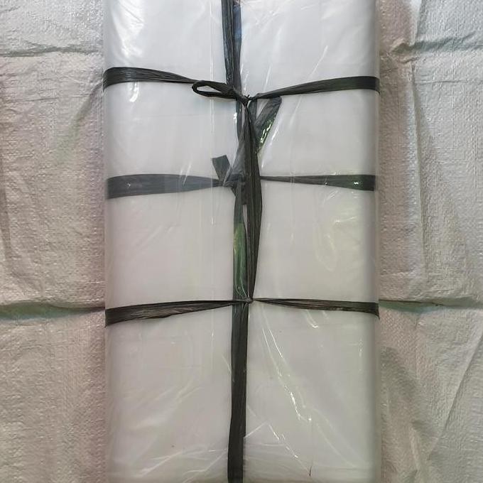 ready Plastik PE Roll 50 cm tebal 0,8 mikron