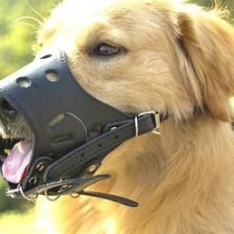 Dog Muzzle Pu Leather Brangus Brongsong Kulit Untuk Anjing