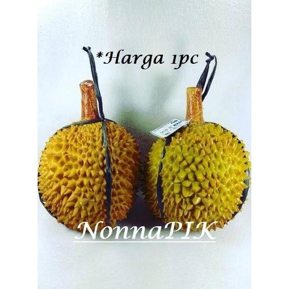 

MAINAN BUAH DURIAN KARET MIRIP ASLI