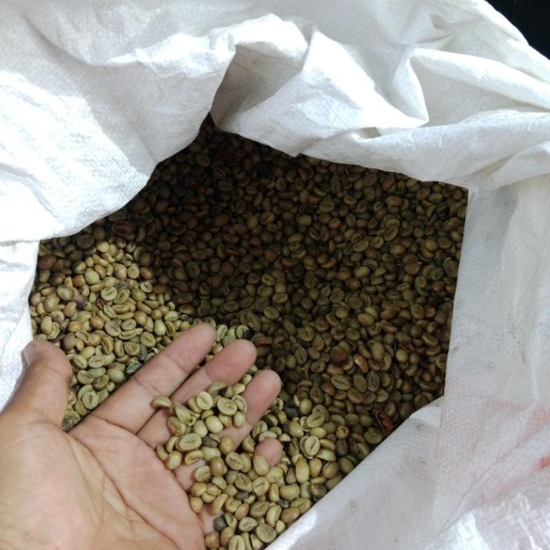 

NEW!!! kopi robusta green beans asalan, 1kg (TEMANGGUNG)