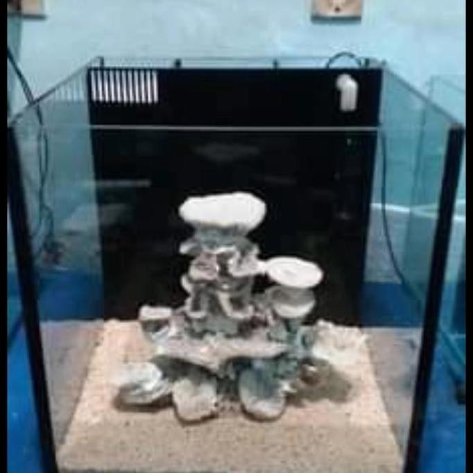 Aquarium Nano Tank Cube 40 Aquarium Laut Reef Tank