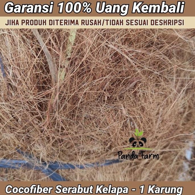 fresh Cocofiber Serabut Kelapa 1 Karung murah