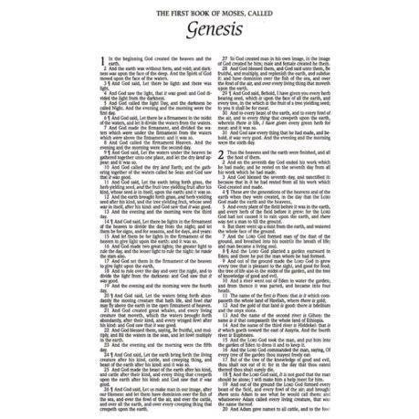 new KJV, Gift and Award Bible, Imitation Leather