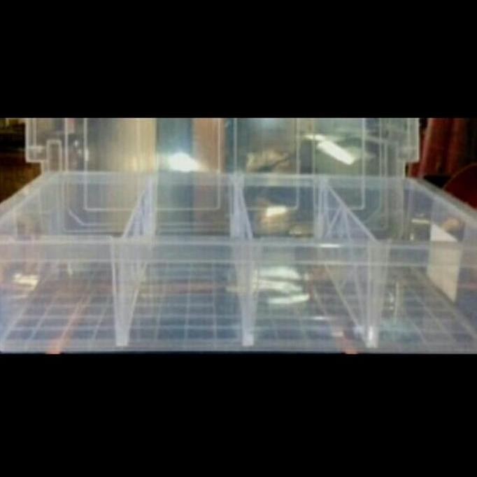 

Terlaris Box Container Shinpo Cb 19 Patriot / Kotak Perkakas 4 Sekat Cb19