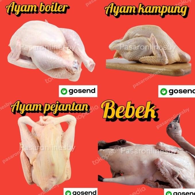 

(Expert) PASAR GUBENG - Ayam boiler/kampung/pejantan/bebek per ekor