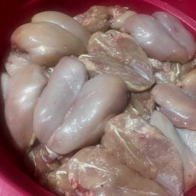 

(Expert) fillet dada ayam bersih tulang dan lemak