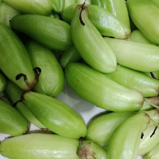 

belimbing wuluh segar/ belimbing sayur