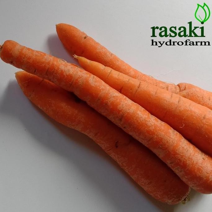 

sayur segar wortel 1 kg rasaki hydrofarm