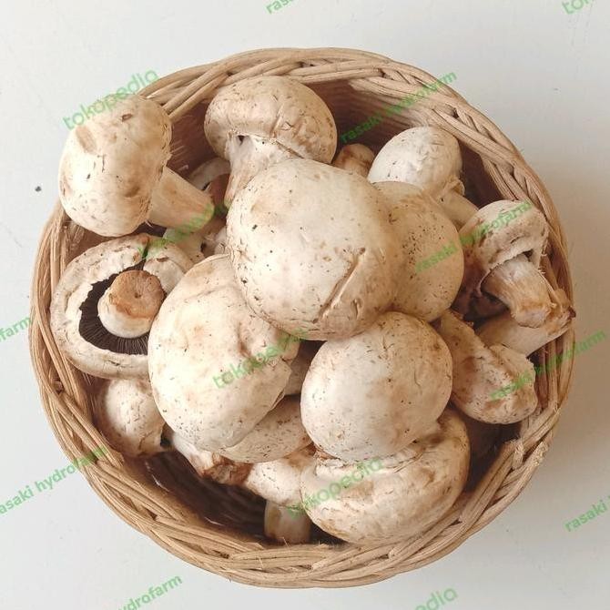

sayur segar jamur champignon 250gr