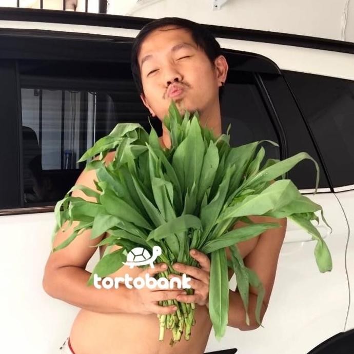 

1 KG FUMAK LOKAL SEGAR SAYUR FUMAK 1 KG BUKAN SIOMAK KUMAK KUMEK FUMEK