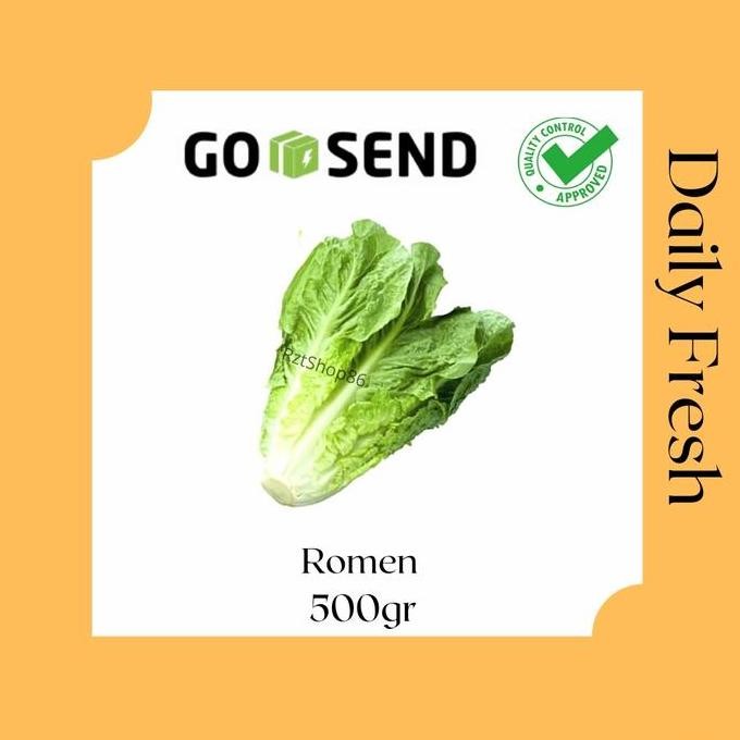 

Sayur Segar Romaine Letuce - romen
