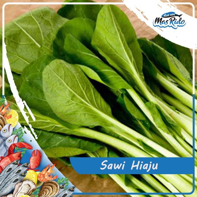 

Sawi Hijau Caisim Fresh Sayur Segar 1 Ikat Kwalitas Super Harga Murah