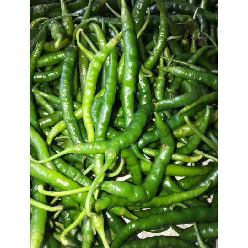 

Cabe Hijau Keriting 1Kg