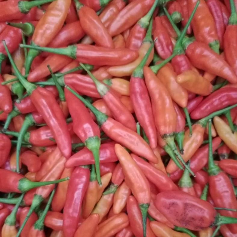 

Cabe Rawit Ori super 1kg