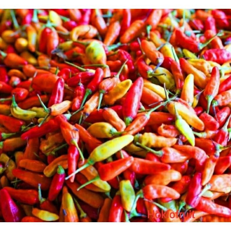 

Cabe Rawit Pilihan /Hokkysayur19