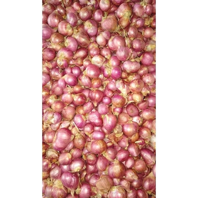 

BAWANG MERAH MURAH 500gr JATIM
