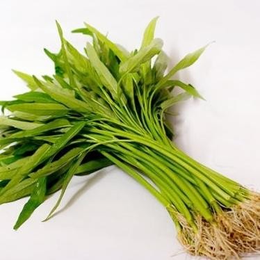 

sayur kangkung pasar online makassar