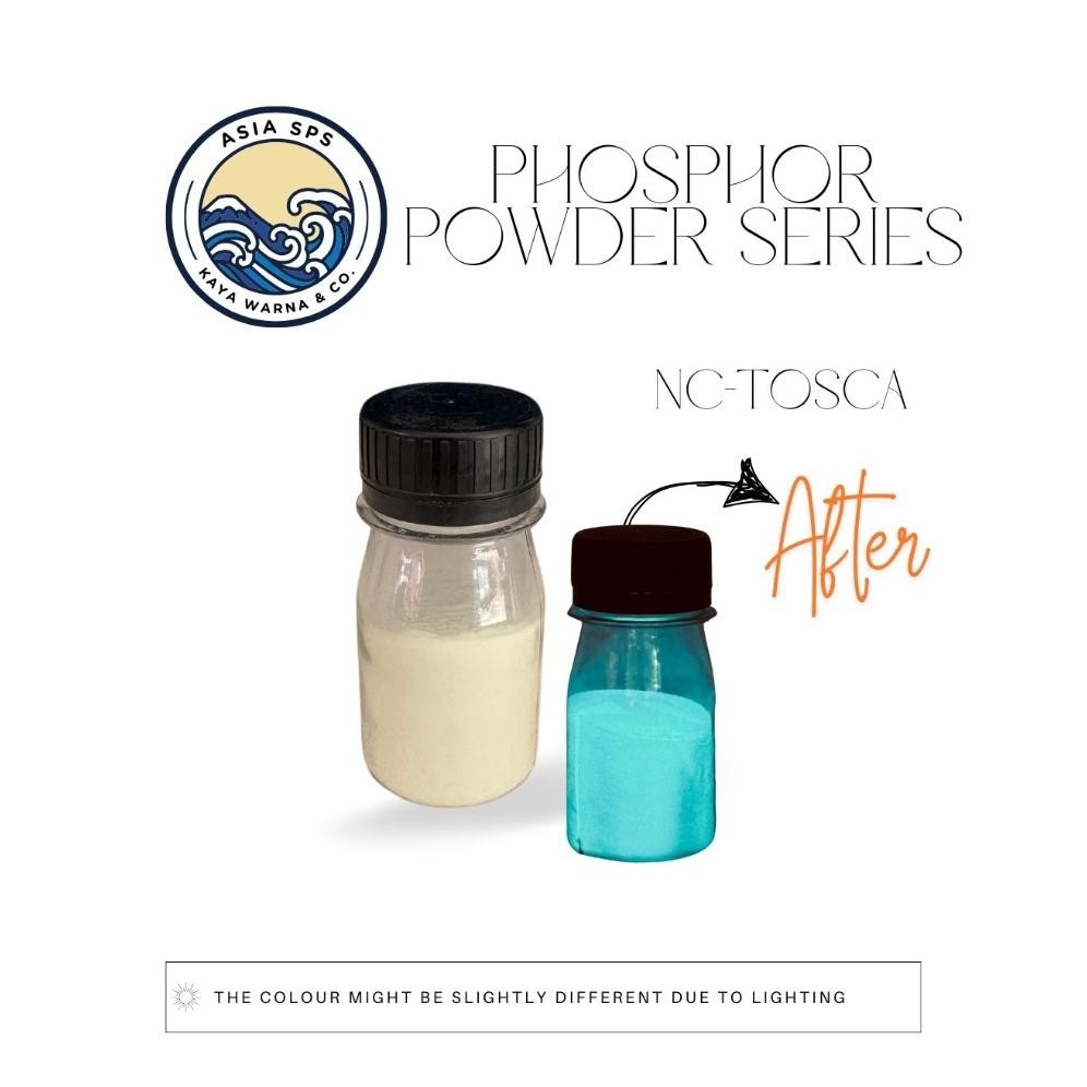 

Bubuk Fosfor GLOW IN THE DARK Gid Stronium Aluminat NC-TOSCA Serbuk Dekorasi Resin Sablon Slime 50GR AST