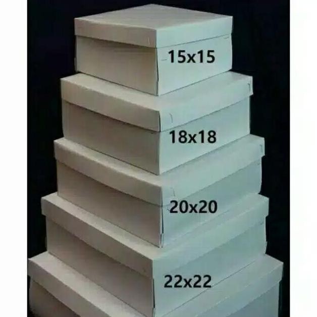Isi 50 Pcs Dus Nasi Kotak 22X22 Tebal Putih Polos / Box Nasi Kotak