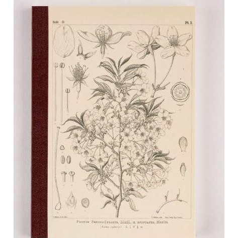 

Hobonichi Plain Notebook (A5) - Yamazakura Co