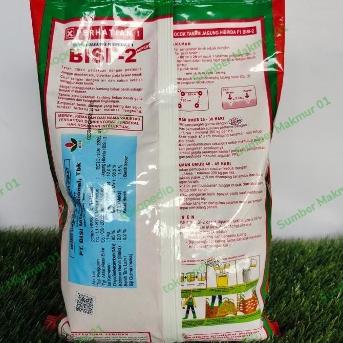 (Allthebest) BENIH JAGUNG SUPER HIBRIDA BISI 2 BERTONGKOL 2