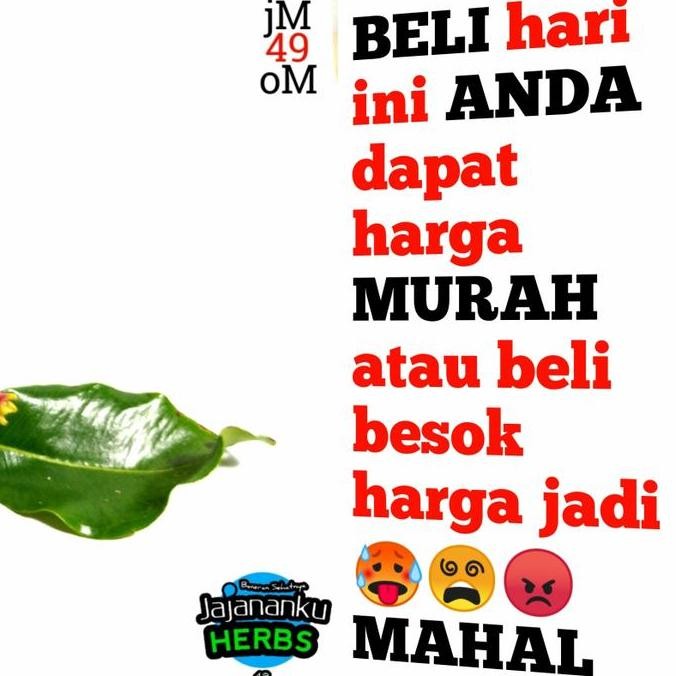 

Cengkeh Kering 1Kg Murah Grosir Rempah Clove Kualitas Super 100% Termu Kualitas Terbaik Harga Termurah