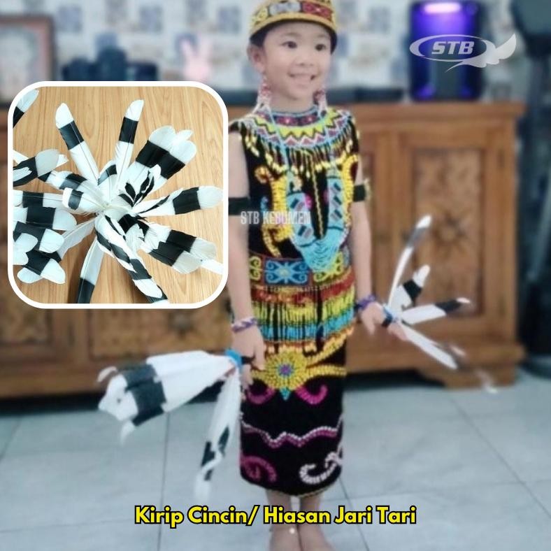 Bulu Untuk Ornamen Bahan Kerajinan Kirip Cincin Tari Dayak Pengganti Bulu Burung Enggang