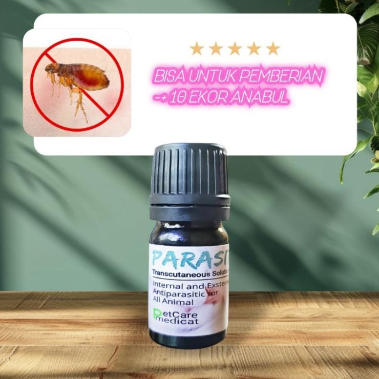Special Obat Kutu Kucing Ampuh Obat Cacing Ampuh Obat Kutu Kucing Ampuh Obat Kutu Ampuh Obat Scabies