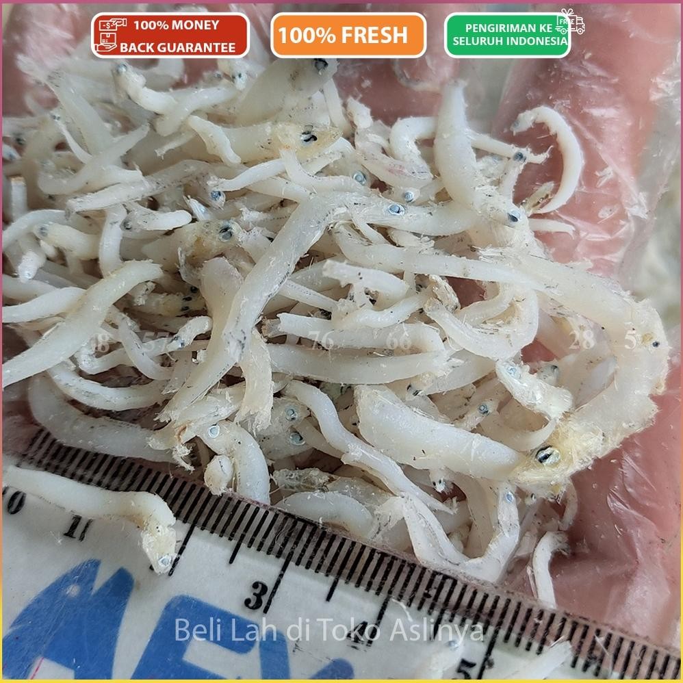 

ready PROMO Teri Nasi Medan SUPER 250gram / 1/4Kg - Size Toge 1CM Up / Ikan Asin Teri Mentah Siap Masak murah