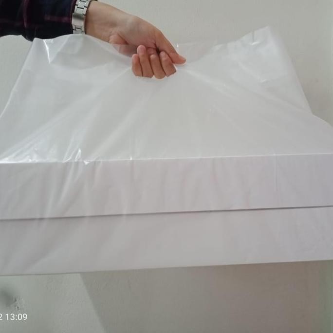 ready stock Kantong Plastik Box Pizza 30 isi 50 pcs