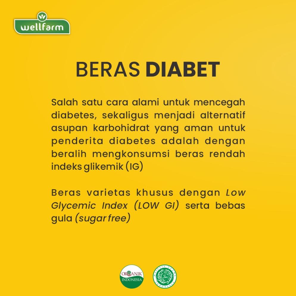 

ready Wellfarm Beras Diabetes Organik | Beras Diabet Rendah Glikemik Index, Paket Hemat 2 Kg murah