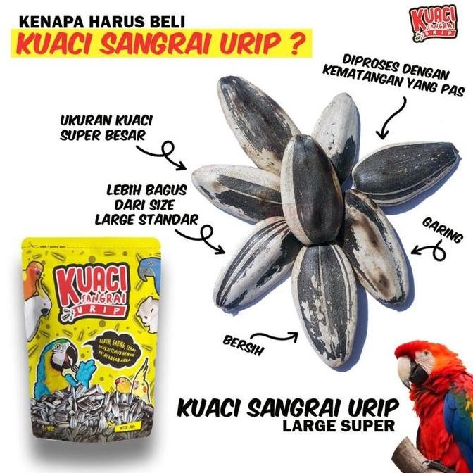 

Sale Kuaci Sangrai Urip Super Large 900 Gram