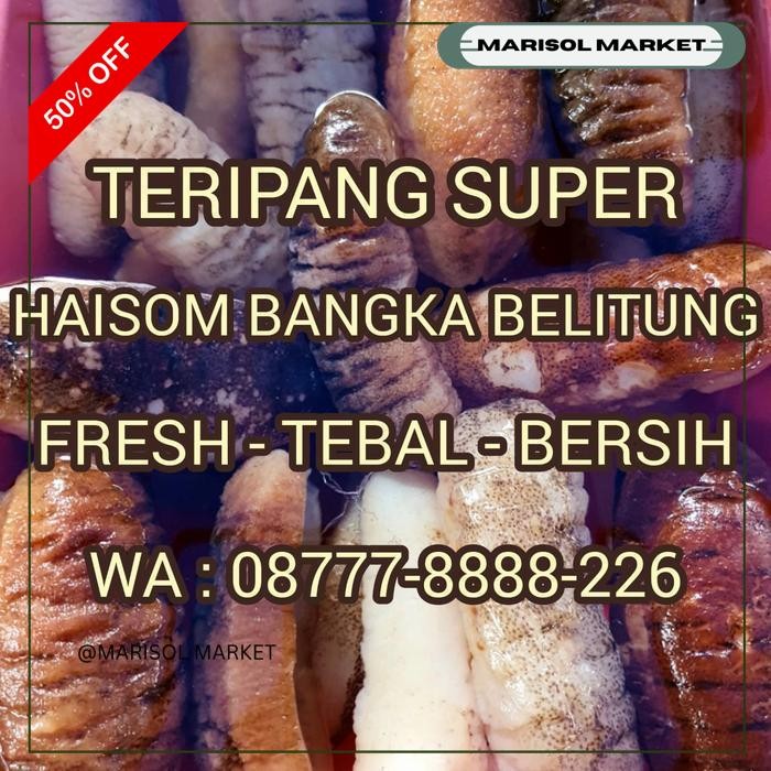 

TERIPANG FRESH 500GR SUPER BANGKA BELITUNG TEBAL / HAISOM GOSOK GAMAT GRATIS ONGKIR