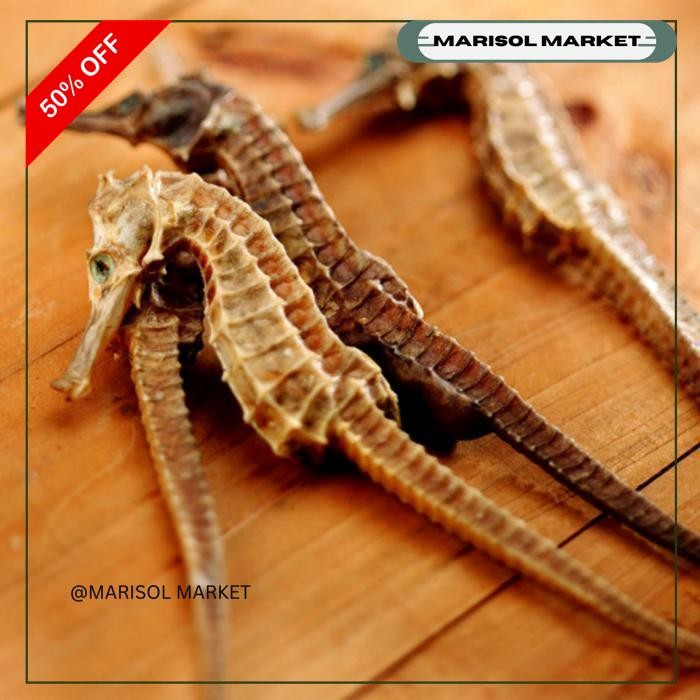 

KUDA LAUT KERING GRADE SUPER / DRIED SEAHORSE / HIPPOCAMPUS / HERBAL TERMURAH