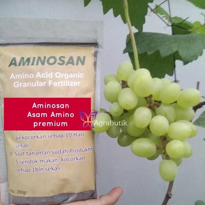 Aminosan pupuk organik Asam amino premium aneka tanaman buah anggur