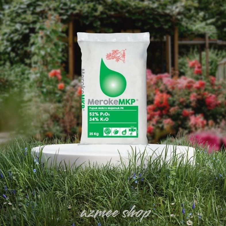 Bisa Cod Meroke Mkp / Mkp / Pupuk Perangsang Pembungaan Dan Pembuahan 
