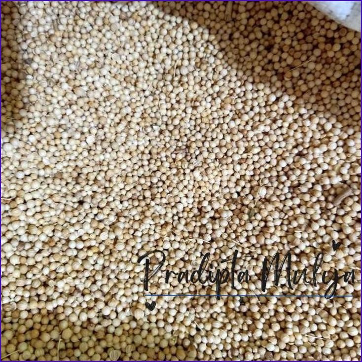 

Pasti Murah Ketumbar 1/2Kg Setengah Kilo