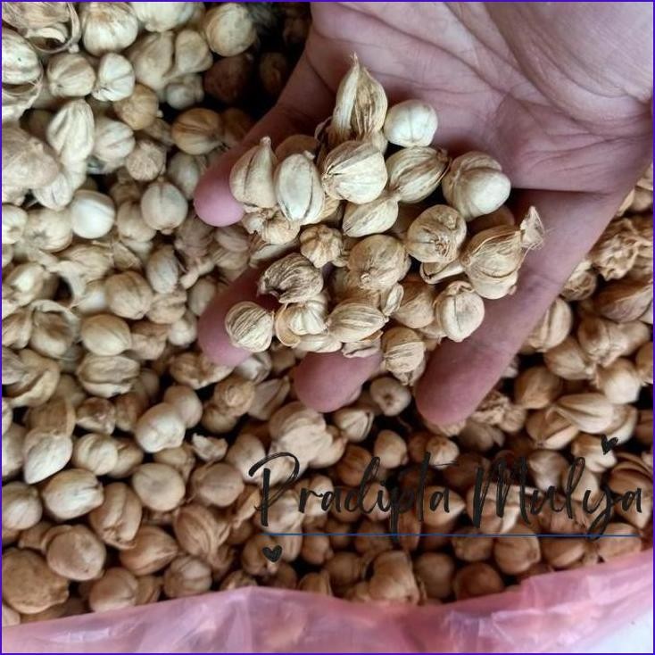 

Murah..!! Kapulaga Putih Murni! / Kapolaga / White Cardamon 50 G Gram