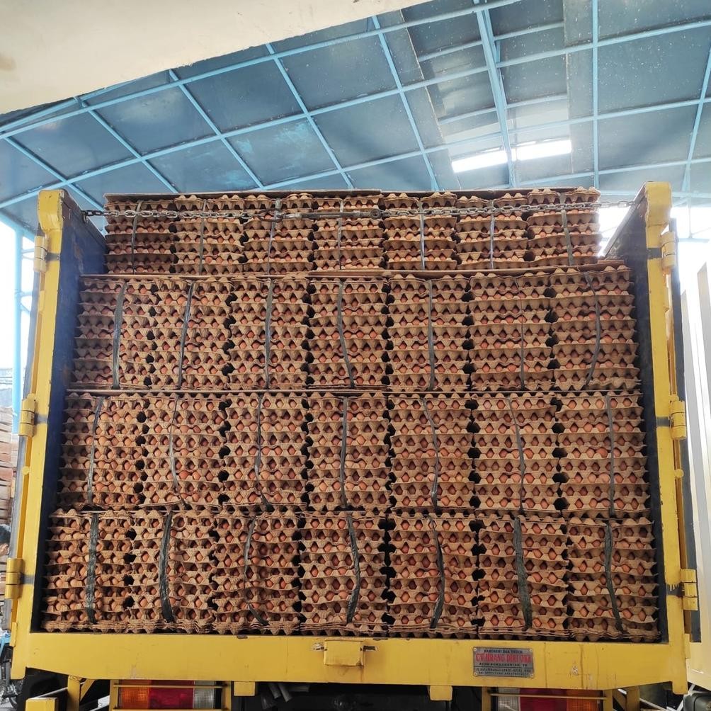 

TELUR AYAM OMEGA ORGANIK 30 BUTIR HEN-HEN