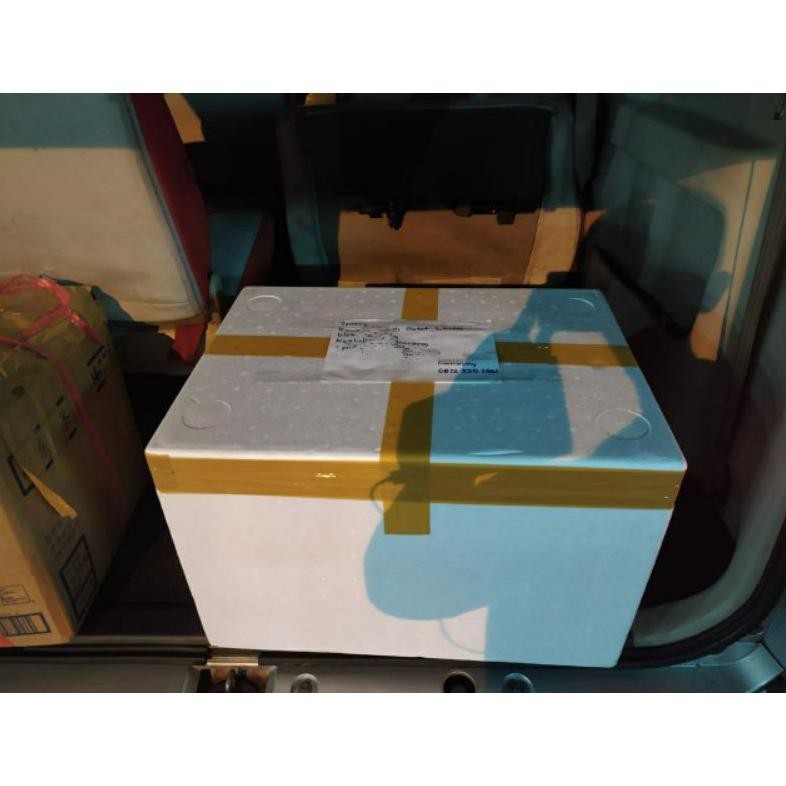 

PUTIH TELUR MENTAH FRESH BANDUNG PROTEIN TINGGI