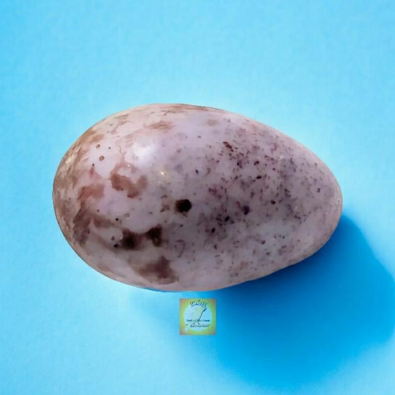 

DUMMY EGG / TELUR PALSU CUCAKRAWA / STRAWHEADED