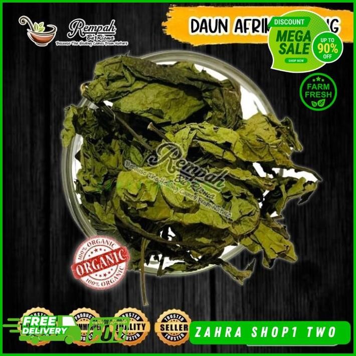 

DAUN AFRIKA KERING BERAT BERSIH PRODUK 25 GRAM KUALITAS TERBAIK