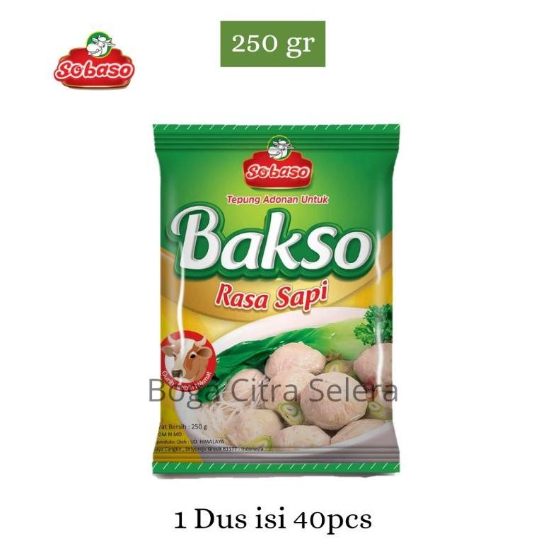 

1 Dus Tepung Adonan Bakso Rasa Sapi Sobaso 250gr (Isi 40 Pcs) SV13